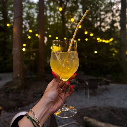 Cocktails in Hilversum Mediapark Brasserie Wisseloord